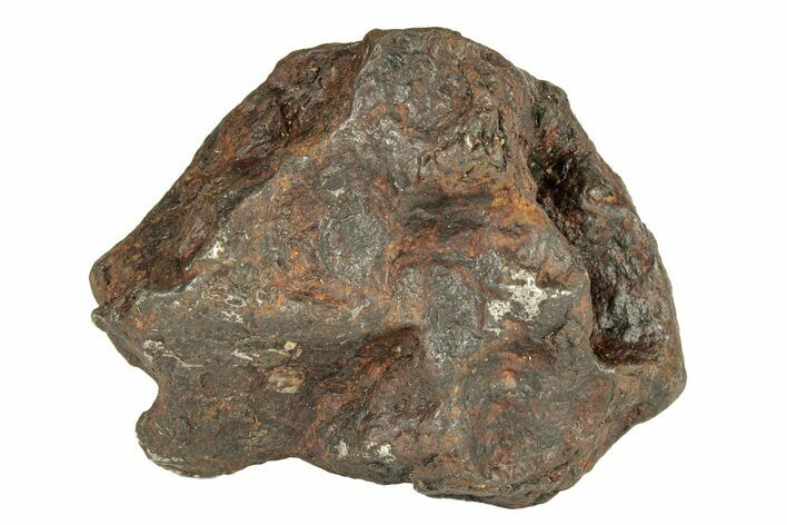 Canyon Diablo Iron Meteorite ( g) - Arizona #270665